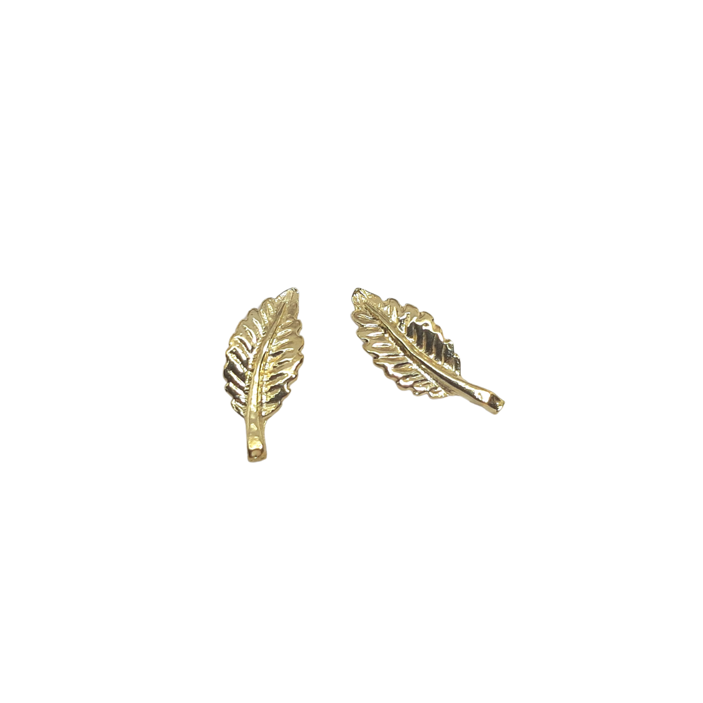 9ct Leaf Studs