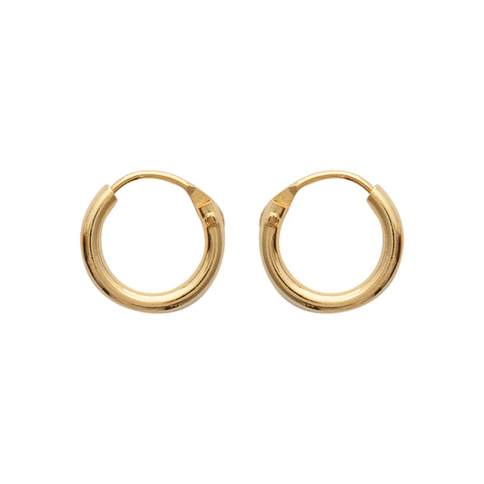 Hoop Earrings - 102110