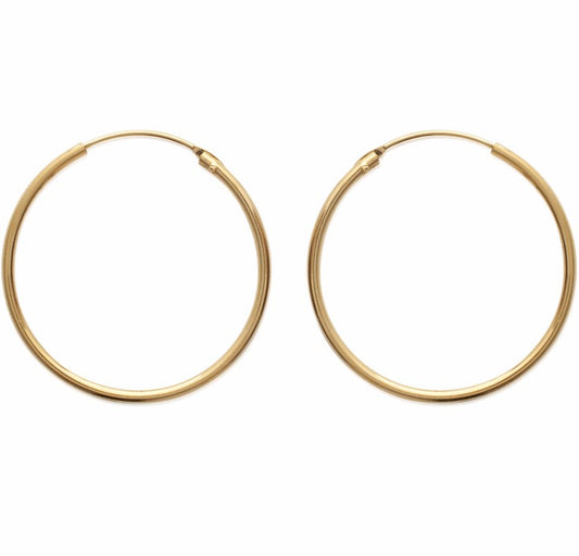 Hoop Earrings - 102135
