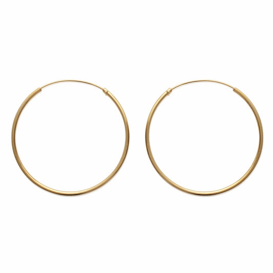Hoop Earrings - 102140