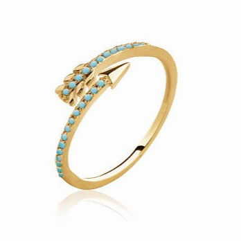 Ring PS - 1235030