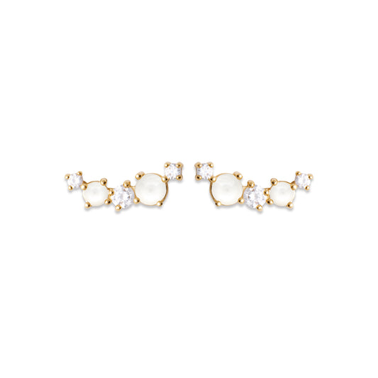 Earrings  PV - 13010310
