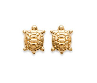 Earrings - 149538