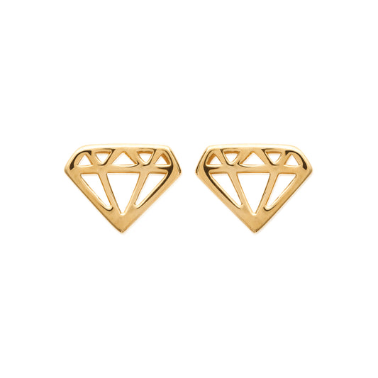 Earrings - 1529000