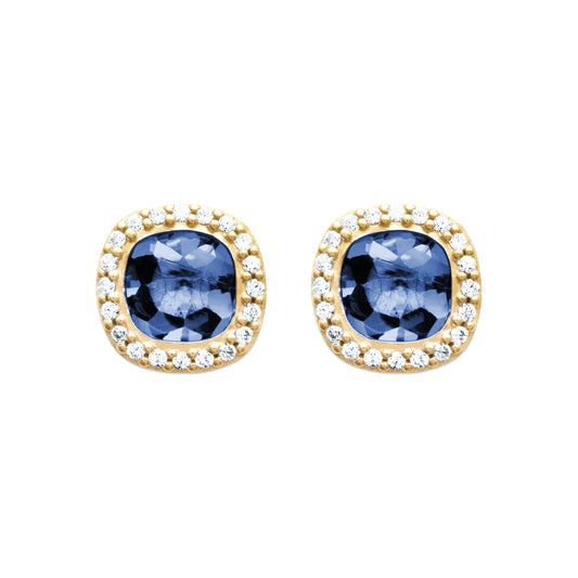 Earrings  PS - 1553440