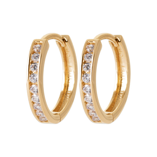 Hoop Earrings  - 1613010