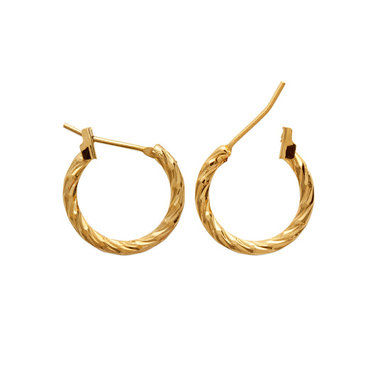 Hoop Earrings - 1616216