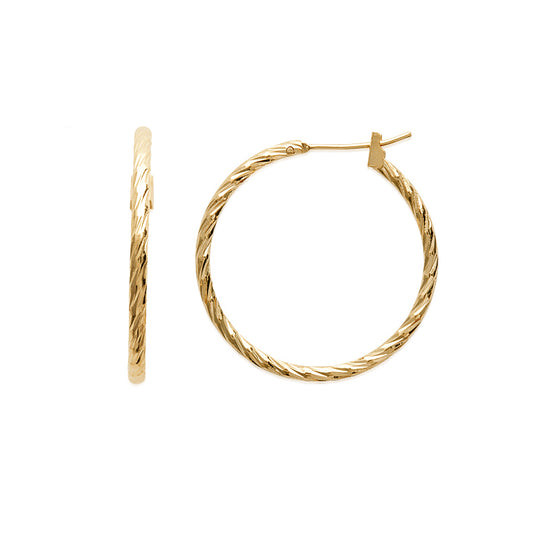 Hoop Earrings - 1616230