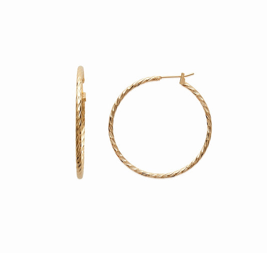 Hoop Earrings - 1616240