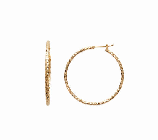 Hoop Earrings - 1616250