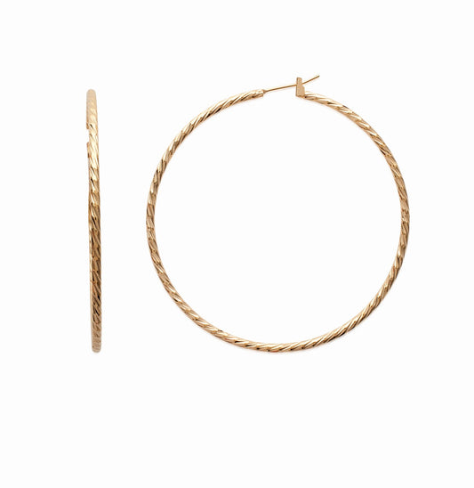 Hoop Earrings - 1616260