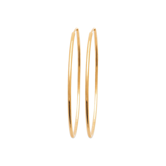 Hoop Earrings - 1629650