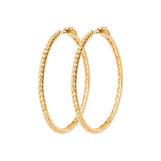 Hoop Earrings - 1629950