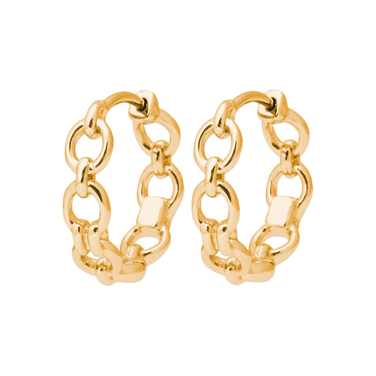 Hoop Earrings - 1634700