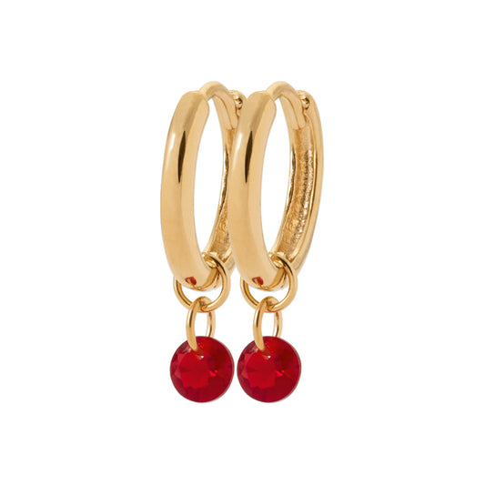 Hoop Earrings PS - 1637920