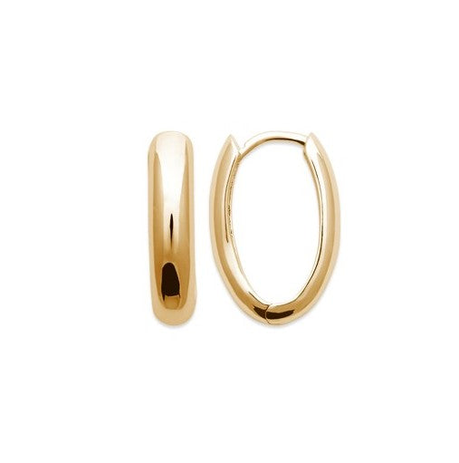 Hoop Earrings - 1639900