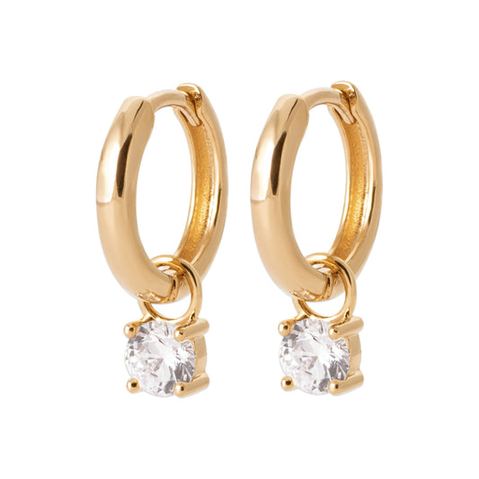 Hoop Earrings  - 1641210