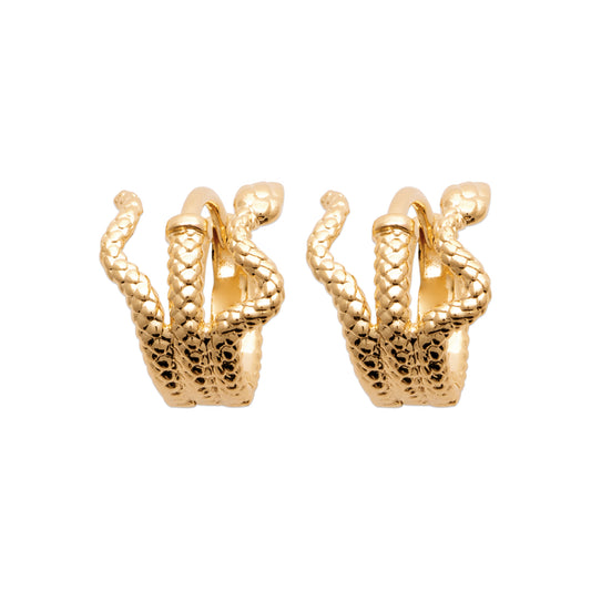 Hoop Earrings - 1646000