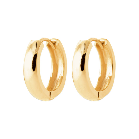 Hoop Earrings - 1657016