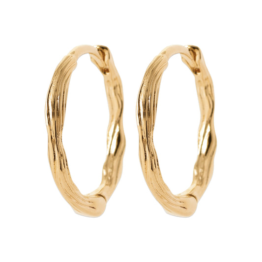 Hoop Earrings - 1657200