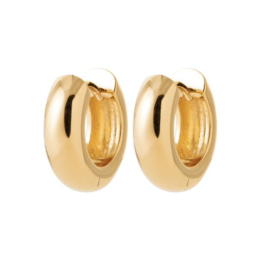 Hoop Earrings - 1657615