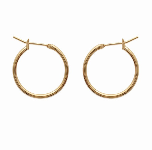 Hoop Earrings - 198120
