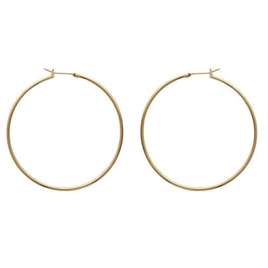 Hoop Earrings - 198150