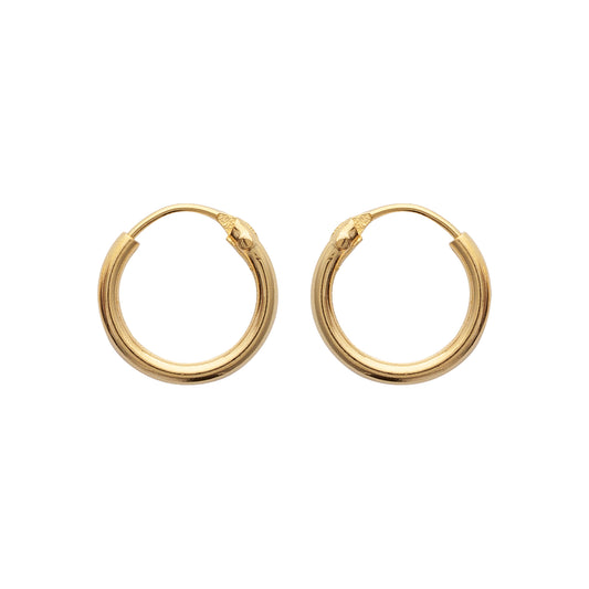 Hoop Earrings - 102112