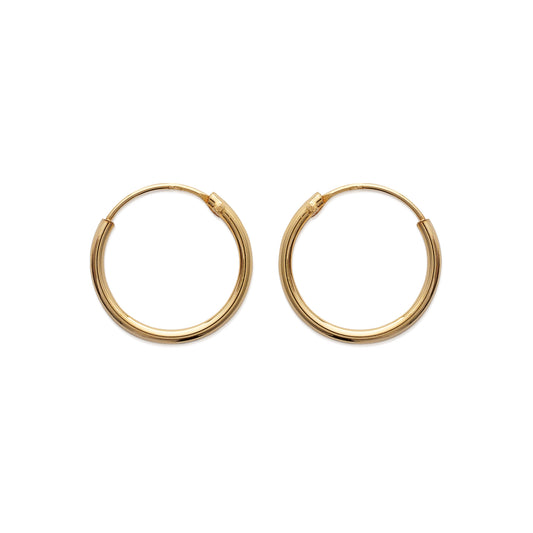 Hoop Earrings - 102116