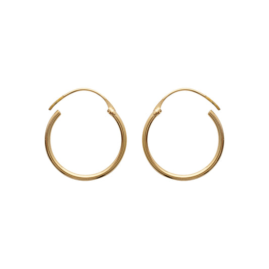Hoop Earrings - 102118