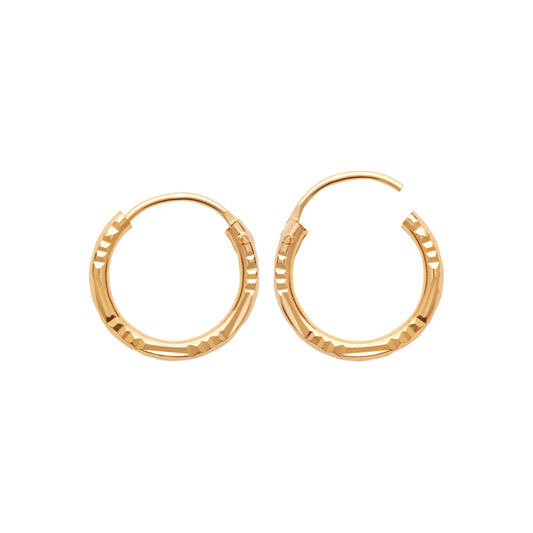Hoop Earrings - 1023114