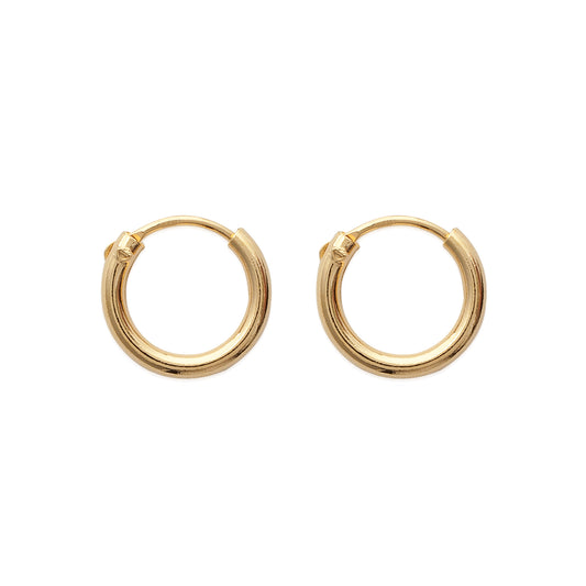 Hoop Earrings - 102312