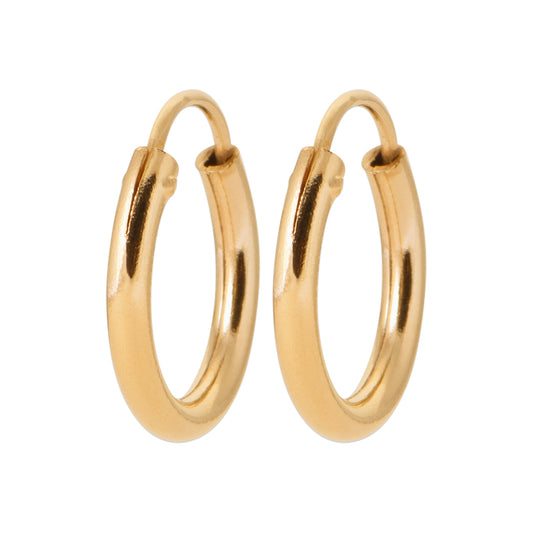 Hoop Earrings - 102314