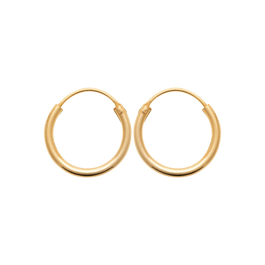 Hoop Earrings - 102316