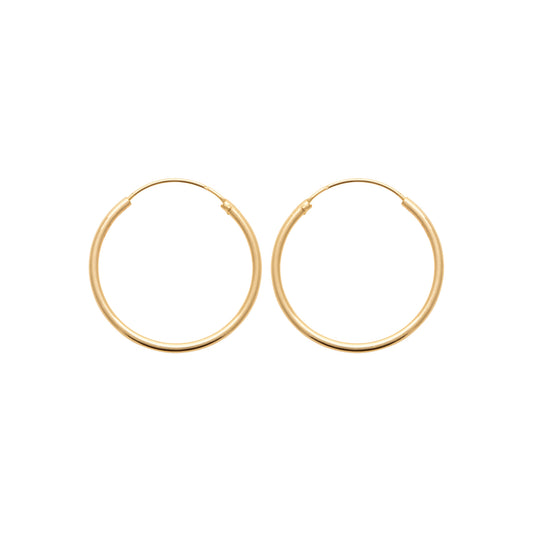 Hoop Earrings - 102330