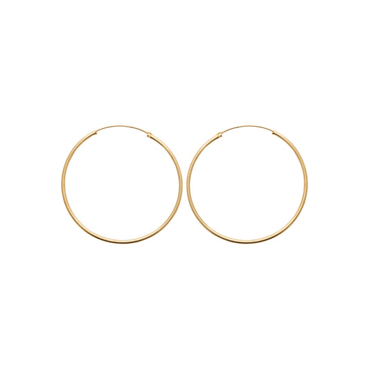 Hoop Earrings - 102350