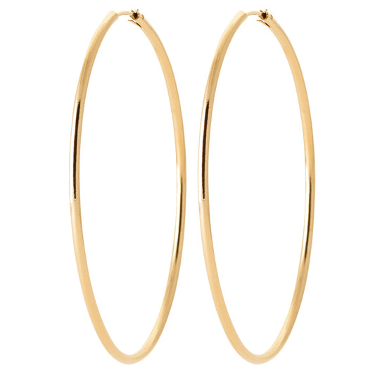 Hoop Earrings - 102360