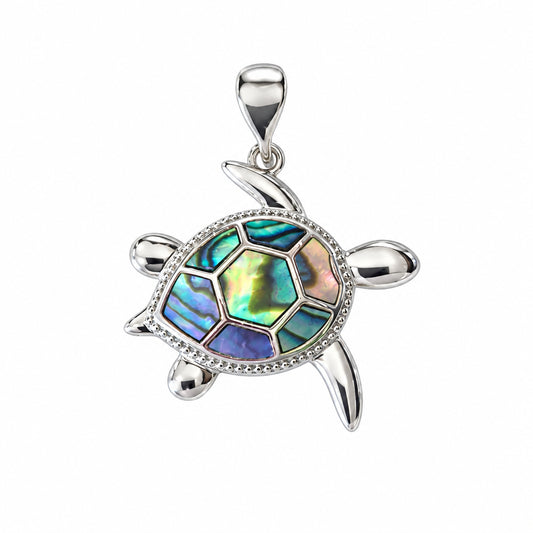 Turtle Paua