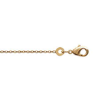 Anklet - 12513525