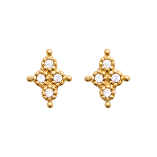 Earrings  - 13012110