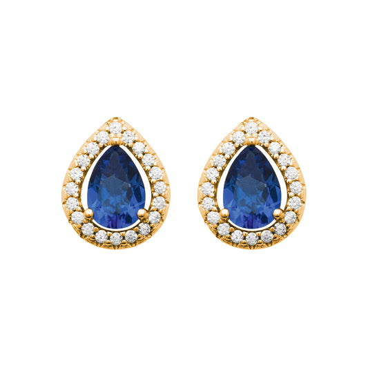 Earrings  PS - 13016440