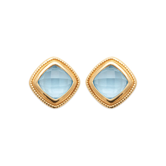 Earrings PS - 13020960