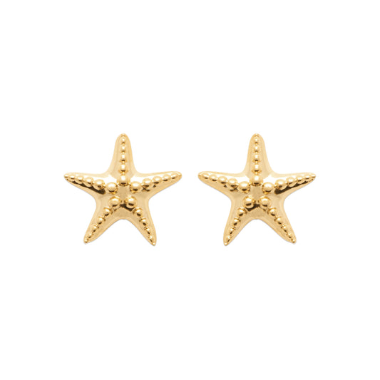 Earrings - 1303230