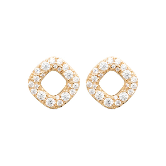 Earrings  - 13033810