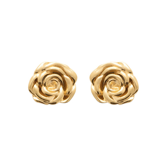 EARRINGS  - 13042600
