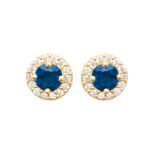 EARRINGS   - 13052260