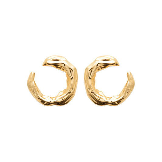 EARRINGS  - 1303950