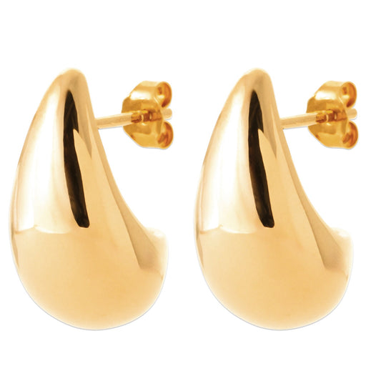 EARRINGS  - 1306580