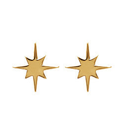 Earrings - 1536000