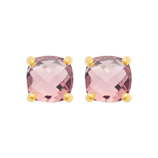 Earrings PS - 1557880